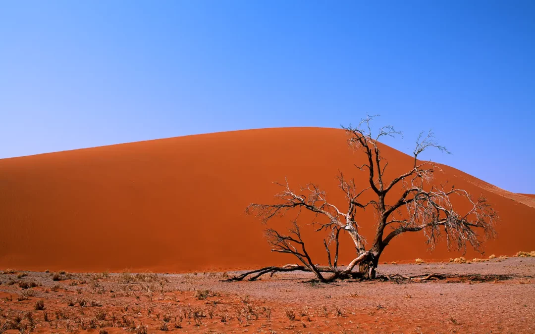 Piste et désert de Namibie